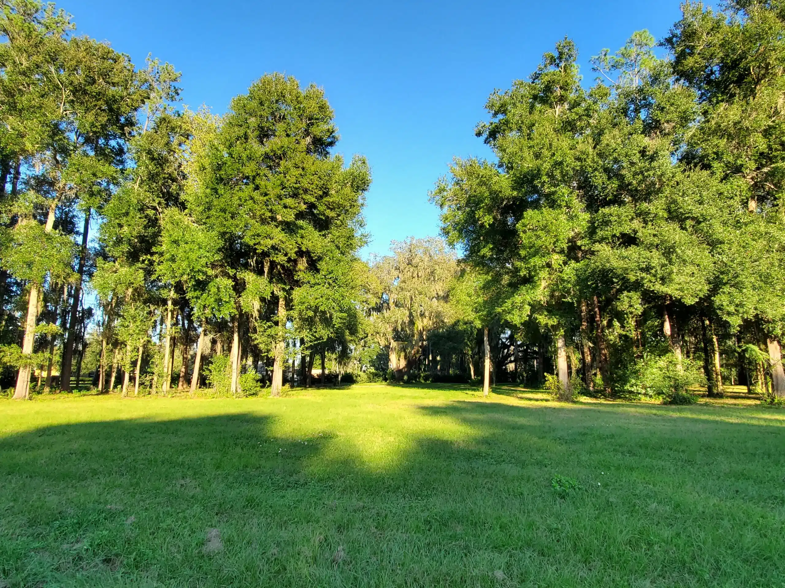 Custom Home Builder Ocala